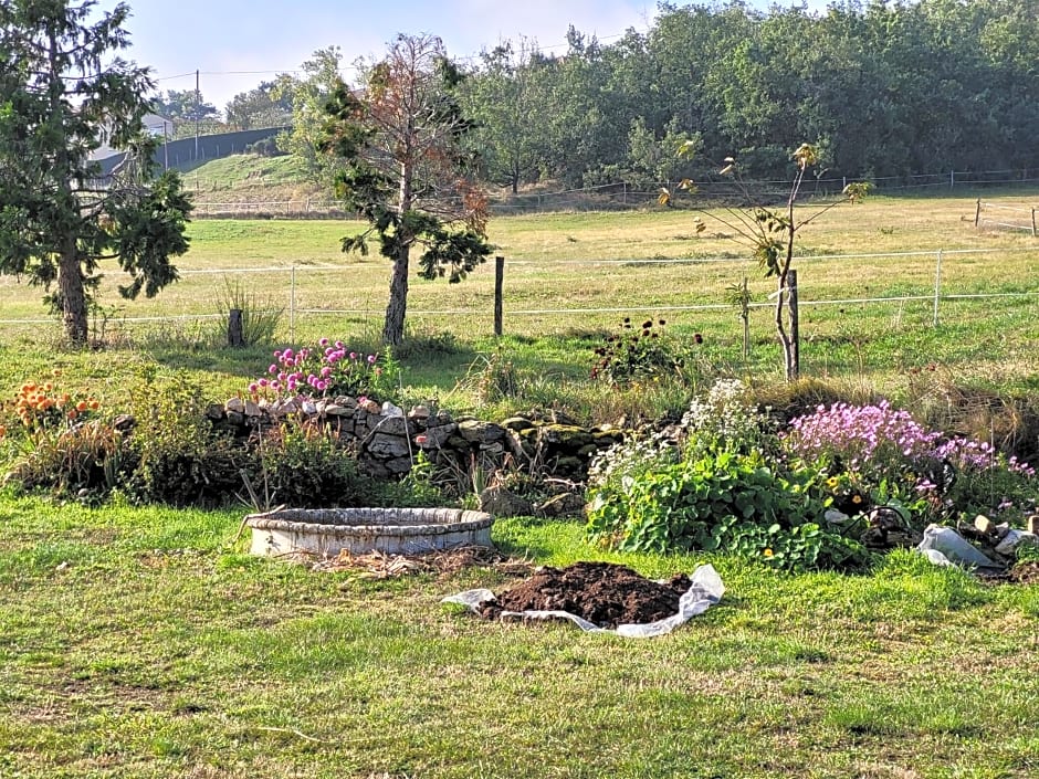 Ferme de la Combe - The Goldy's Farm