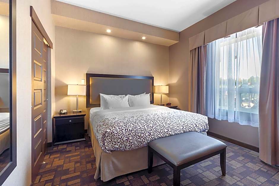 Photo 1 of 4 of 1 King Bed with Sofabed Suite