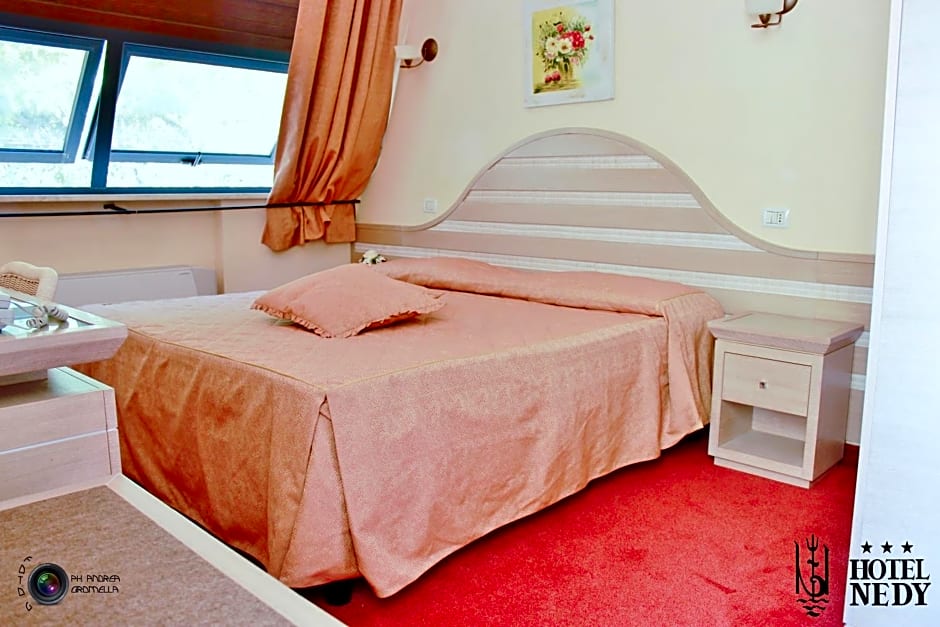 Hotel Nedy
