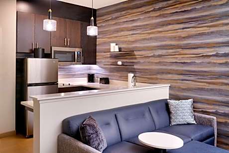 Studio King, Studio, 1 King, Sofa bed (Mobility &amp; Hearing Accessible w/ Roll-in Shower)