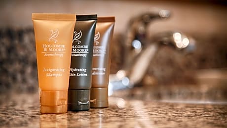 Suite-2 King Beds, Non-Smoking, 2 Rooms, Full Kitchen, Living Room, Sofabed