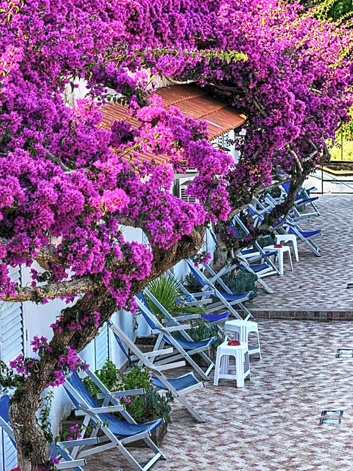 Hotel Parco Cartaromana