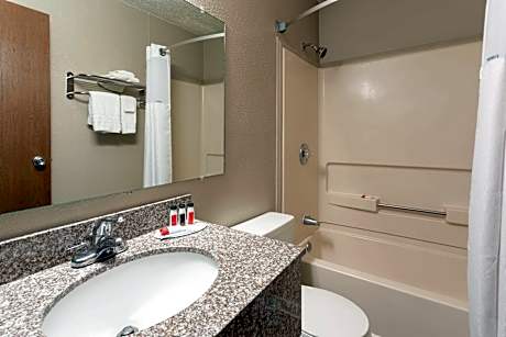 1 Queen Bed Non-Smoking