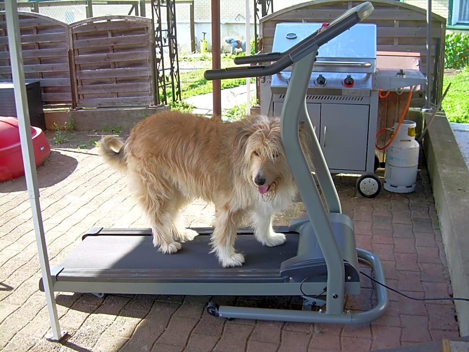 Wohlfühloase für Mensch und Hund