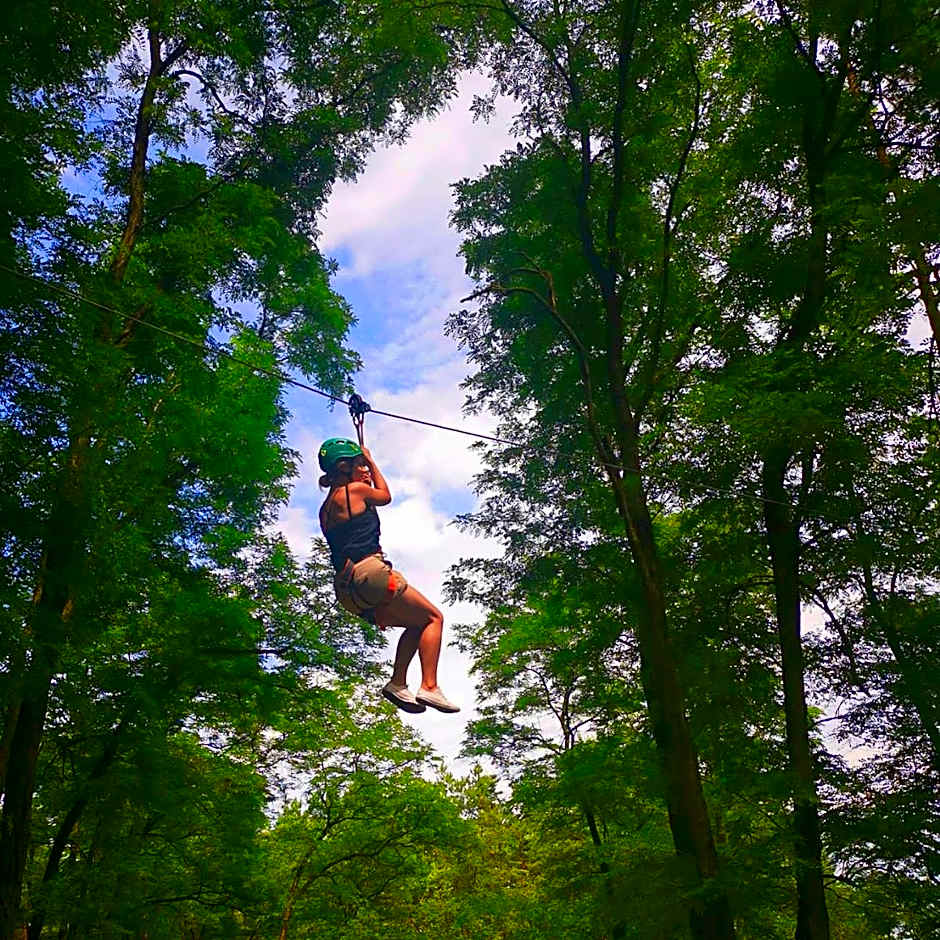 Hotel Narvil Conference & Spa