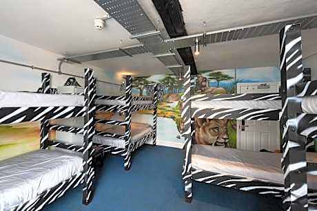 Bunk Bed in Female Dormitory Room sleeps 8