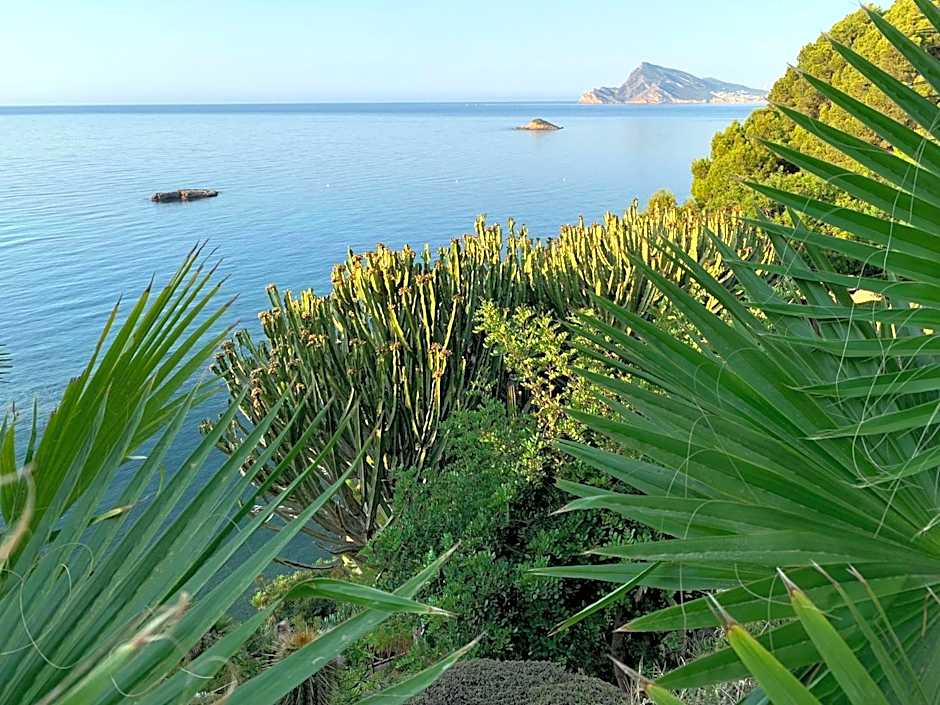 El jardin Botánico Villa LUZ