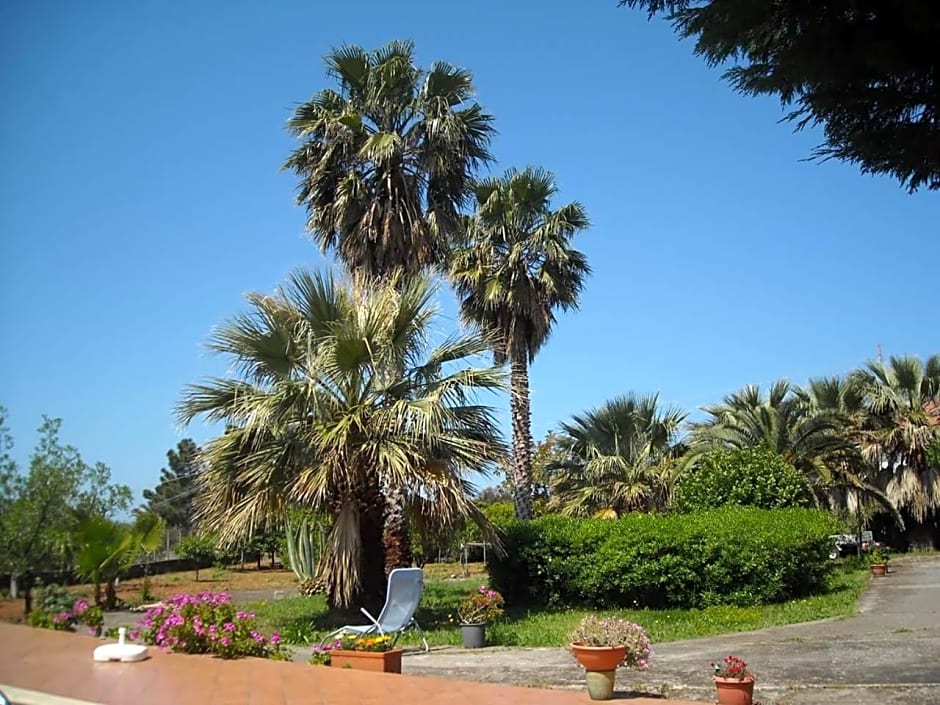 B&B Villa Le Palme Scalea