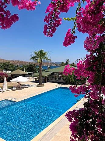 Suite with Pool View