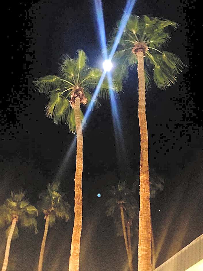 Delos Reyes Palm Springs