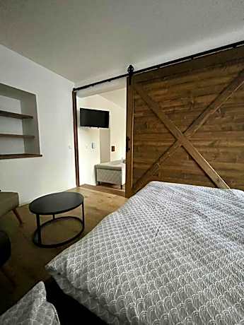 Deluxe One-Bedroom Apartment