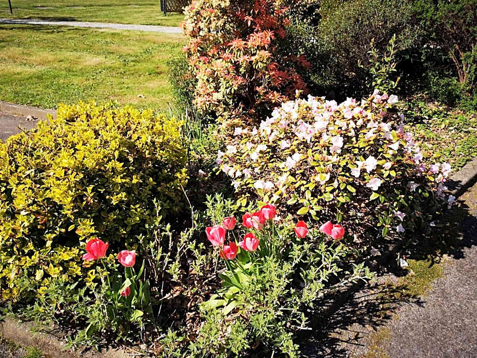 Best Western Auray Le Loch