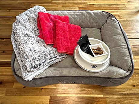 4-Bed Mixed Dormitory Room