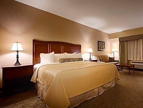 King Room - Non-Smoking