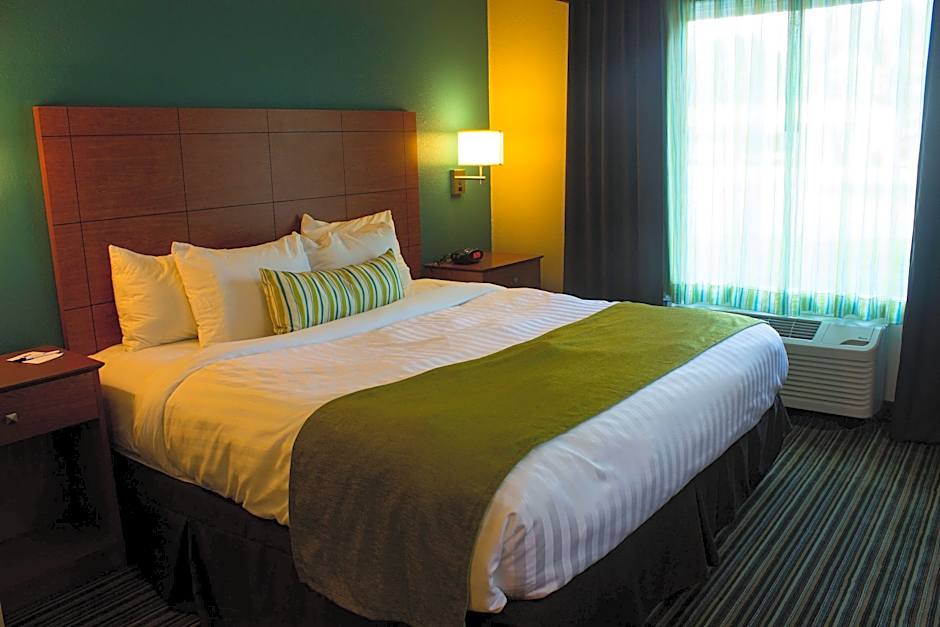 Photo 1 of 8 of 1 King Bed with Sofabed Suite, Mobility Accessible, Bathtub