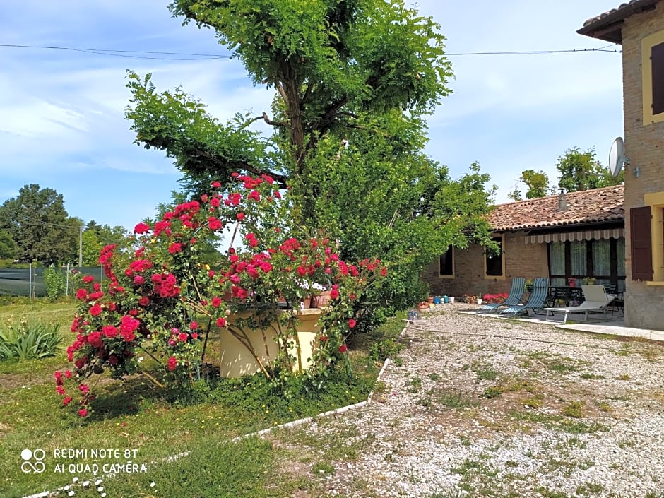 La Rosa Selvatica