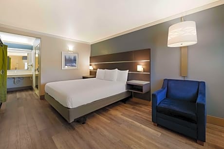 Accessible - 1 King, Mobility Accessible, Communication Assistance, Roll In Shower, Non-Smoking, Con