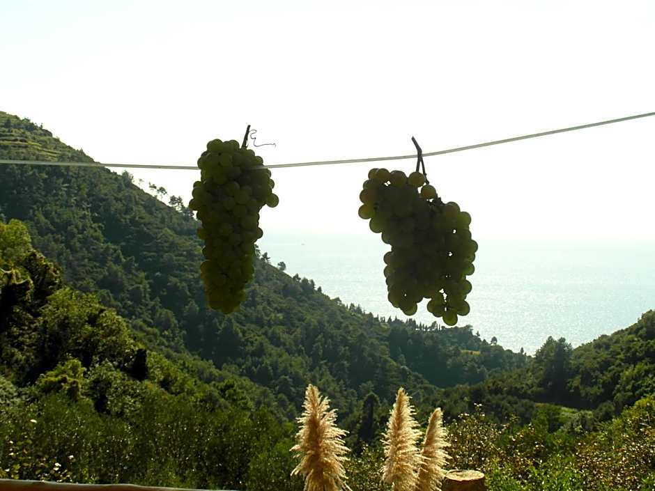 Agriturismo Costa di Campo