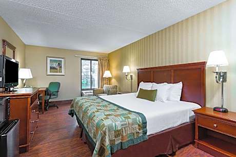 1 King Bed Non-Smoking
