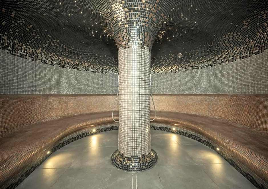 EFI SPA Hotel Superior & Pivovar