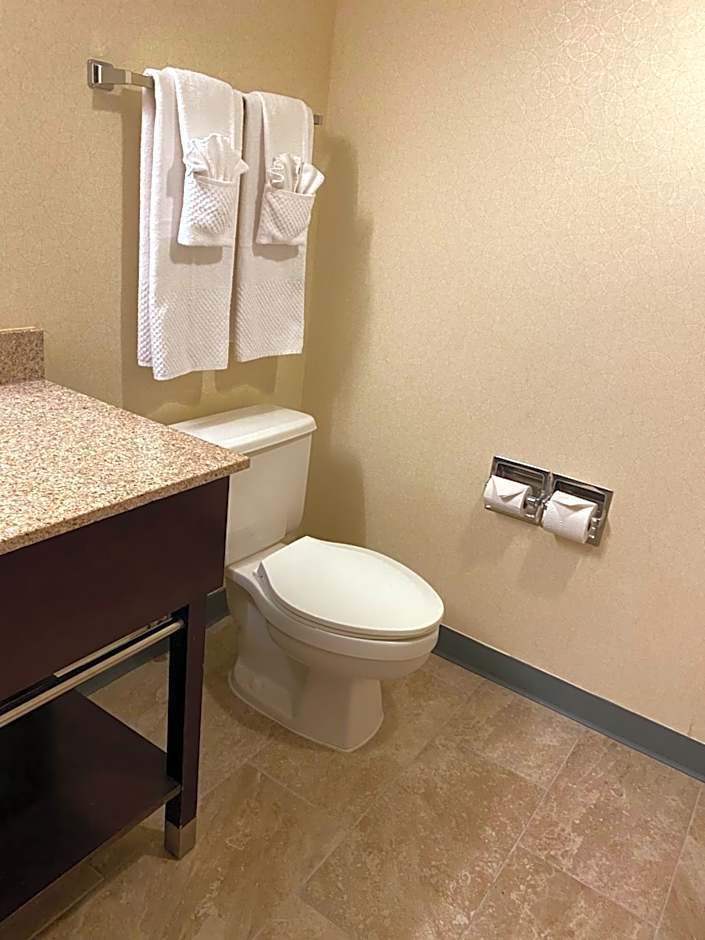 Wyndham Garden Grand Rapids Airport