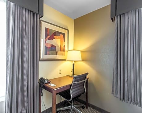 1 Bedroom Suite