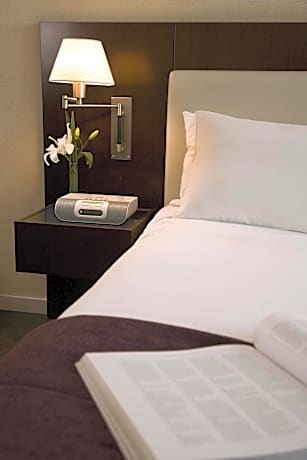 2 Single Beds Non-Smoking Deluxe Room Private Balcony Private Business Floor Access Front View High