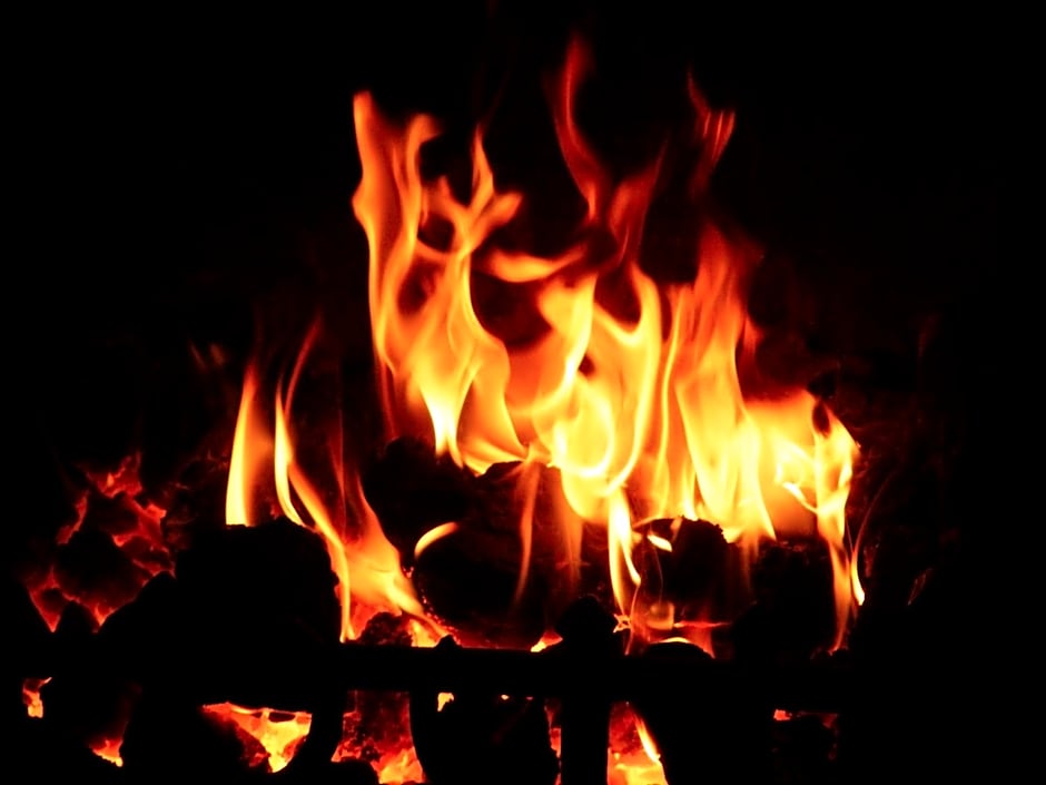 The Dog and Partridge