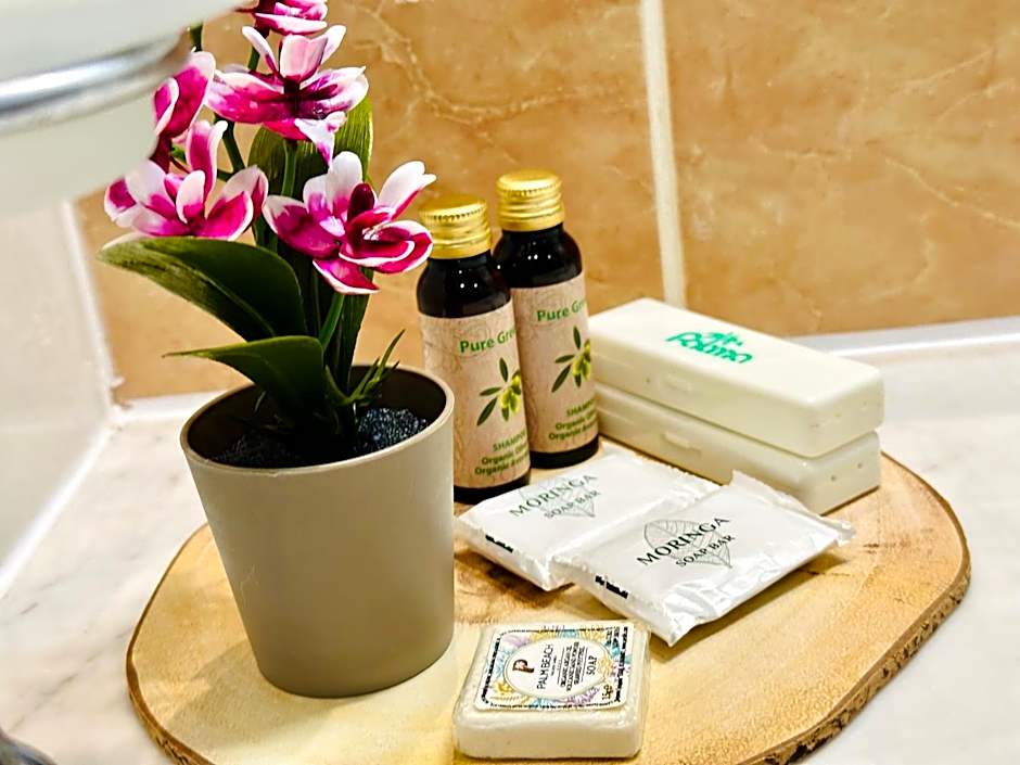 Palm Beach Hotel - All Inclusive with Free beach package & Private Beach