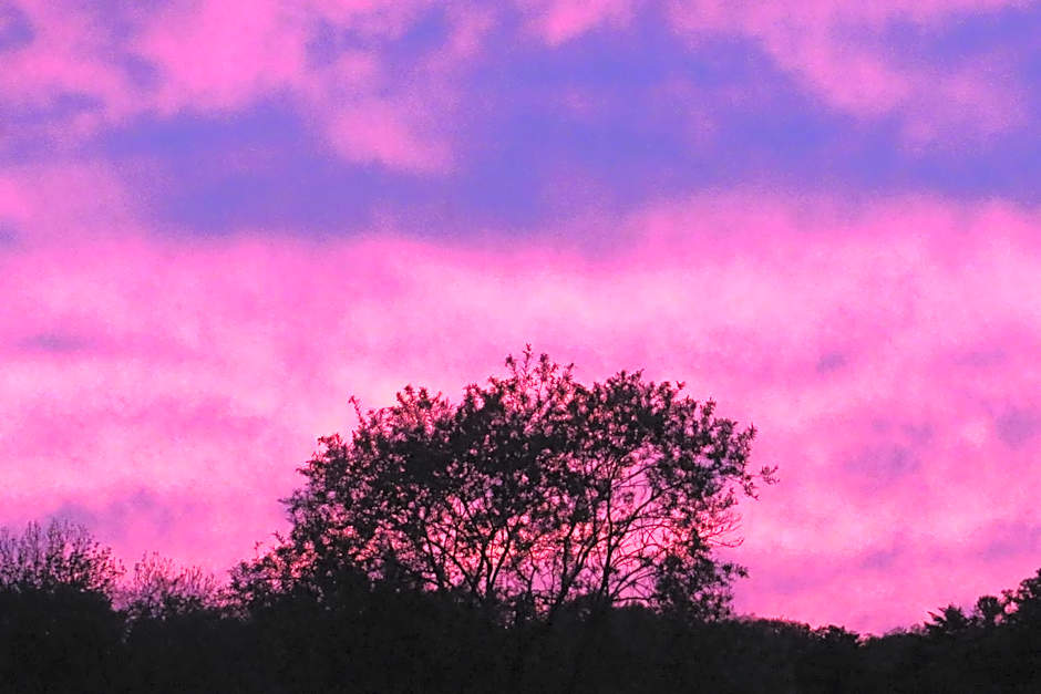 Traveler's Inn Asanebo