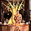 Royal Horizon Baobab