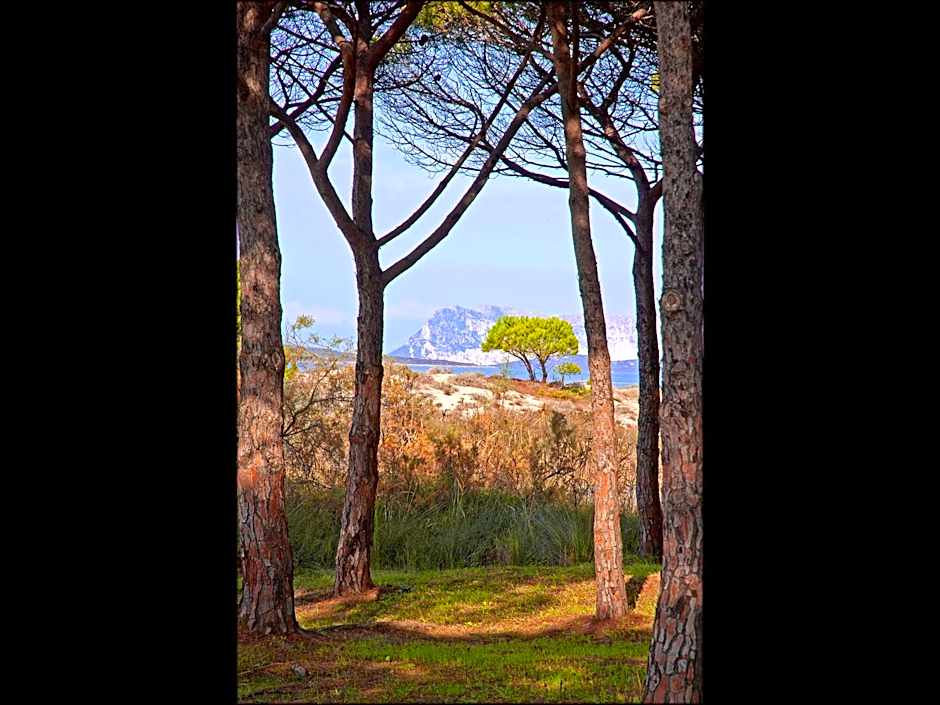 Residenze Mare e Pineta