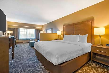 Suite-1 King Bed Non-Smoking Sofabed Work Desk Microwave And Mini-Refrigerator Full Breakfast