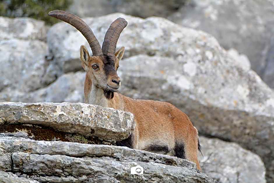 Tottam Art & Healthy Garden