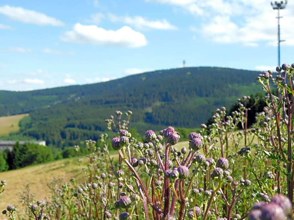 Rathaushotels Oberwiesenthal All Inclusive