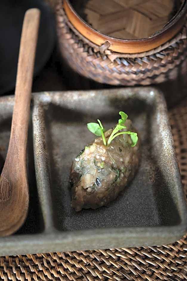 La Résidence Phou Vao