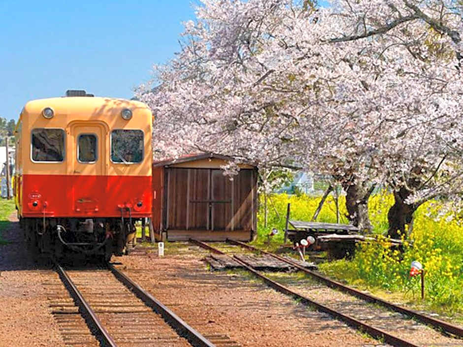 Ichihara Marine Hotel - Vacation STAY 01349v