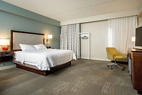 1 King 1 Bedroom Suite Non-Smoking