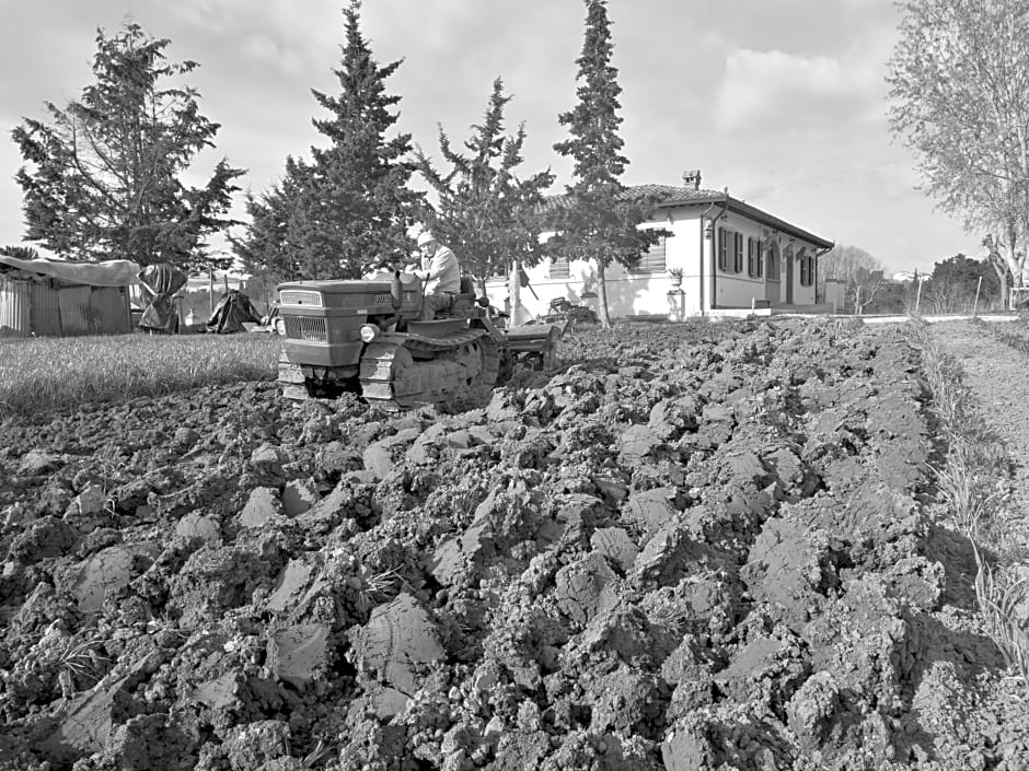 Masseria Le Querciole