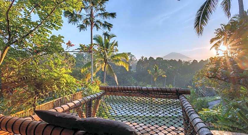 Ecosix Bali