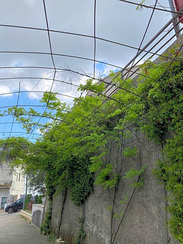 Albergo pensione Bianco