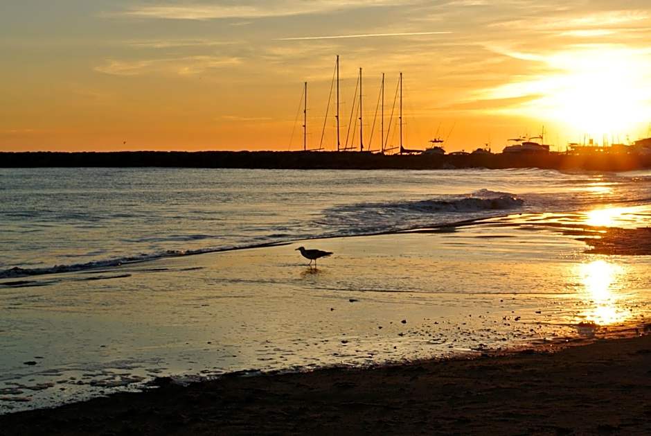 Hotel Les Palmiers En Camargue