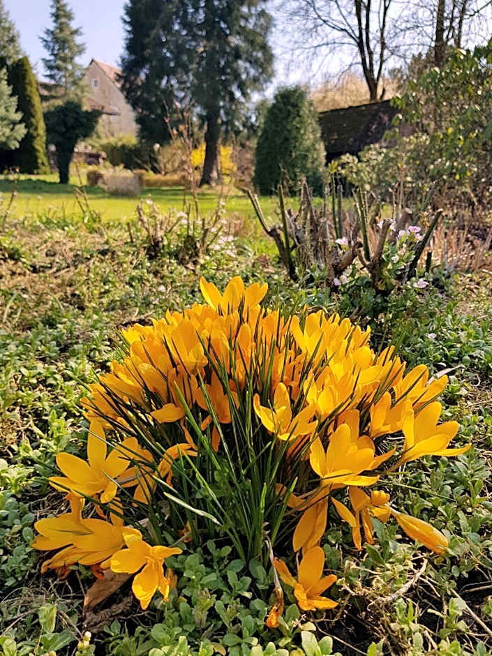 Hotel Landgasthof Hirsch