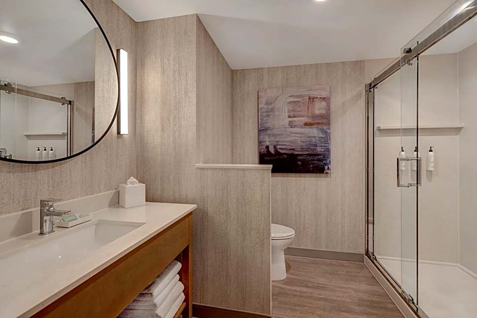 Fairfield Inn & Suites by Marriott Minneapolis Downtown