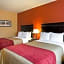 Comfort Inn & Suites Orange