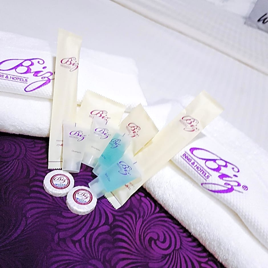 BIZ HOTEL