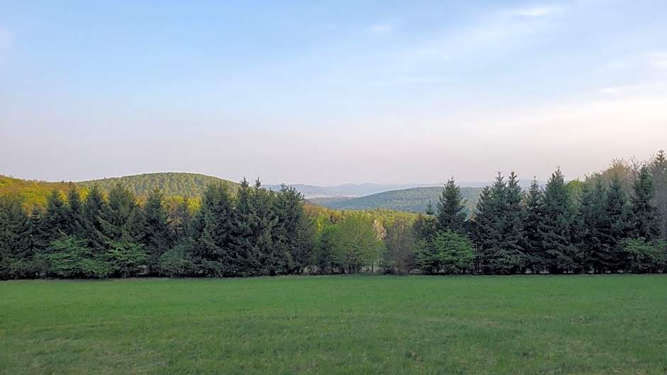 Landgasthof Steuber - Hotel garni