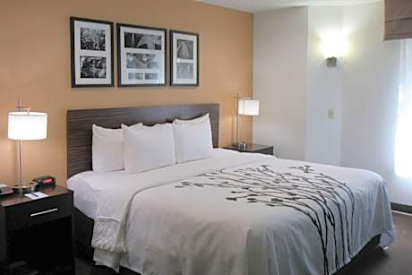 King Room - Non-Smoking