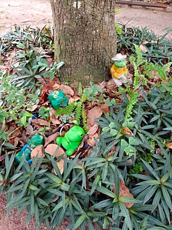 4-Bed Female Dormitory Room