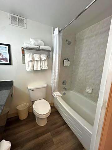 Wyndham Garden Norfolk Downtown